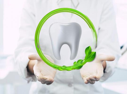 Top Green Dental Initiatives in 2024